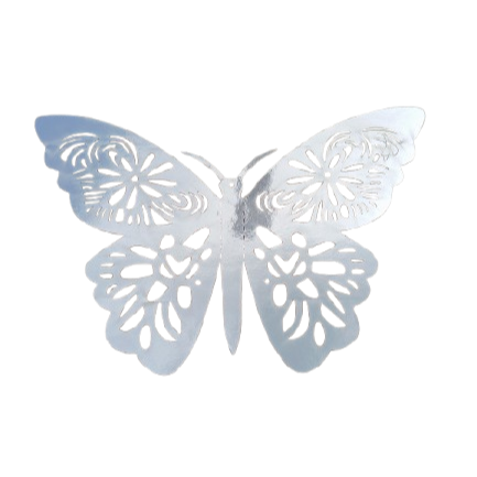 Option Papillon Argenté 2€