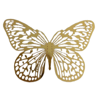 Option Papillon Doré 2€