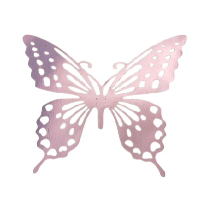 Option Papillon Rose-Argenté 2€